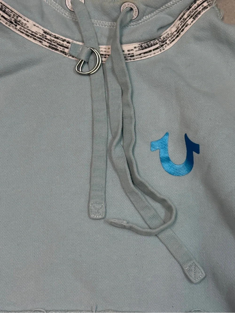 True Religion Blue Airbrush Graphic Hoodie “Exactly What You Think It Is”